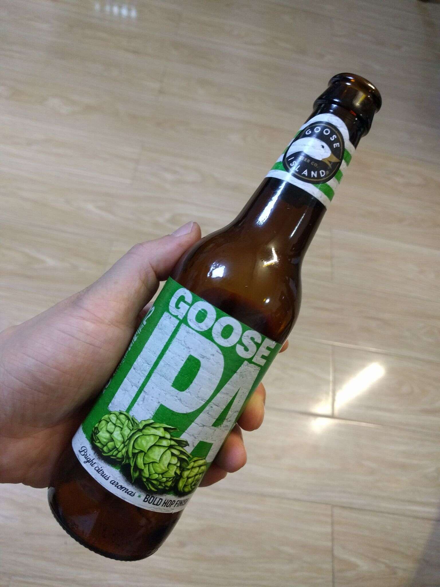 Goose Island Goose IPA 20160607 183956